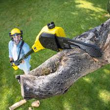 Leaf Removal in Ridge Wood Heights, FL